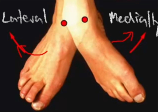 <p>Turning the sole of the foot laterally</p>
