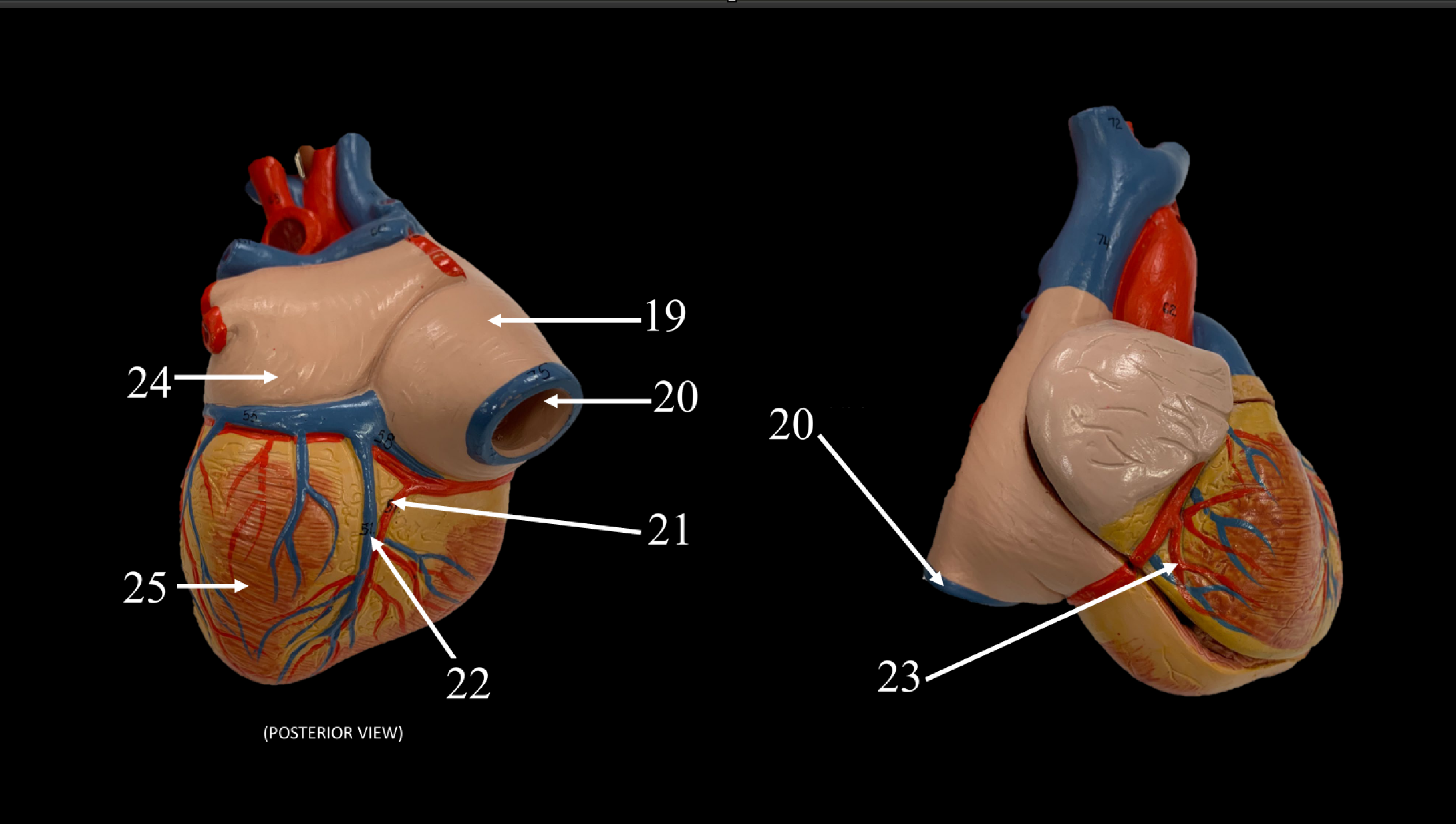<p>WHAT IS 22 CALLED?</p>