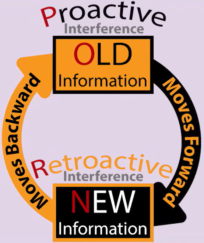 <p>Interference caused when new information disrupts information stored previously (i.e. new memories interfere with old memories)</p>