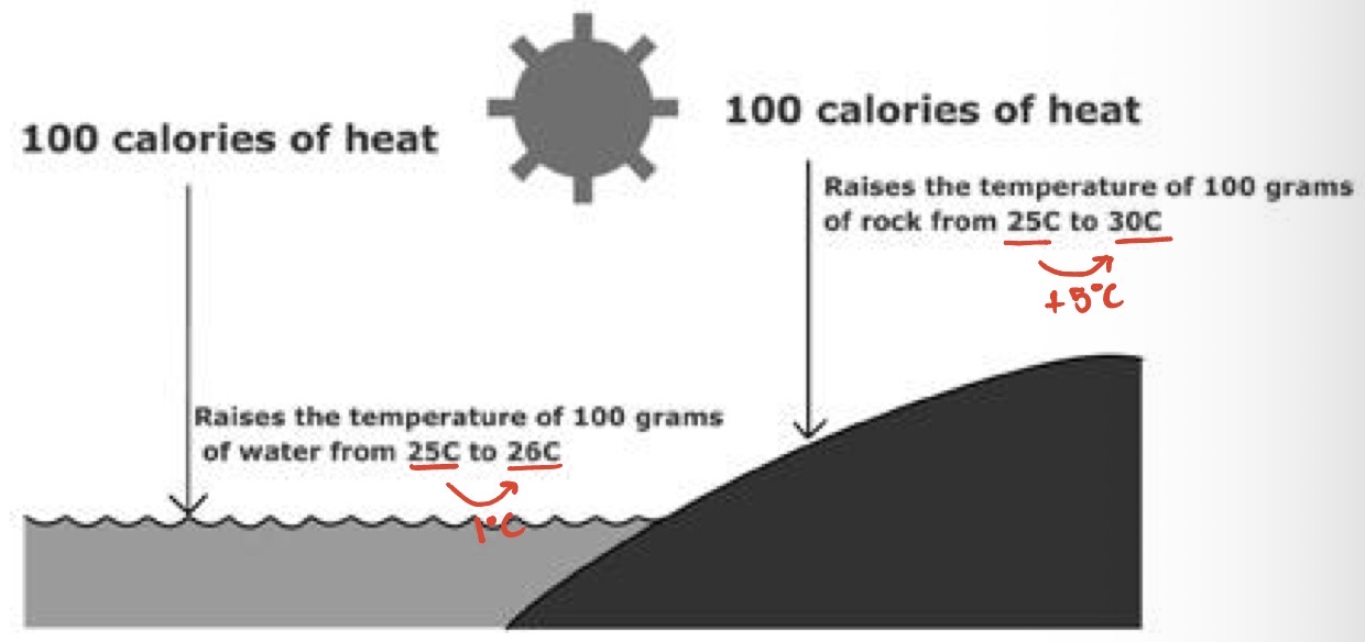 <p>Amount of heat absorbed or lost when 1 g of a substance changes its temperature by 1°C. Aka heat capacity.</p>
