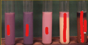 <p>fill in the blank for these litmus test results</p>