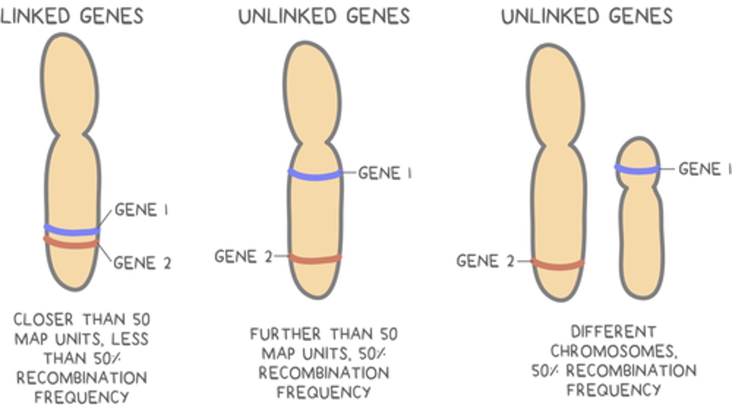 <p>linked</p>