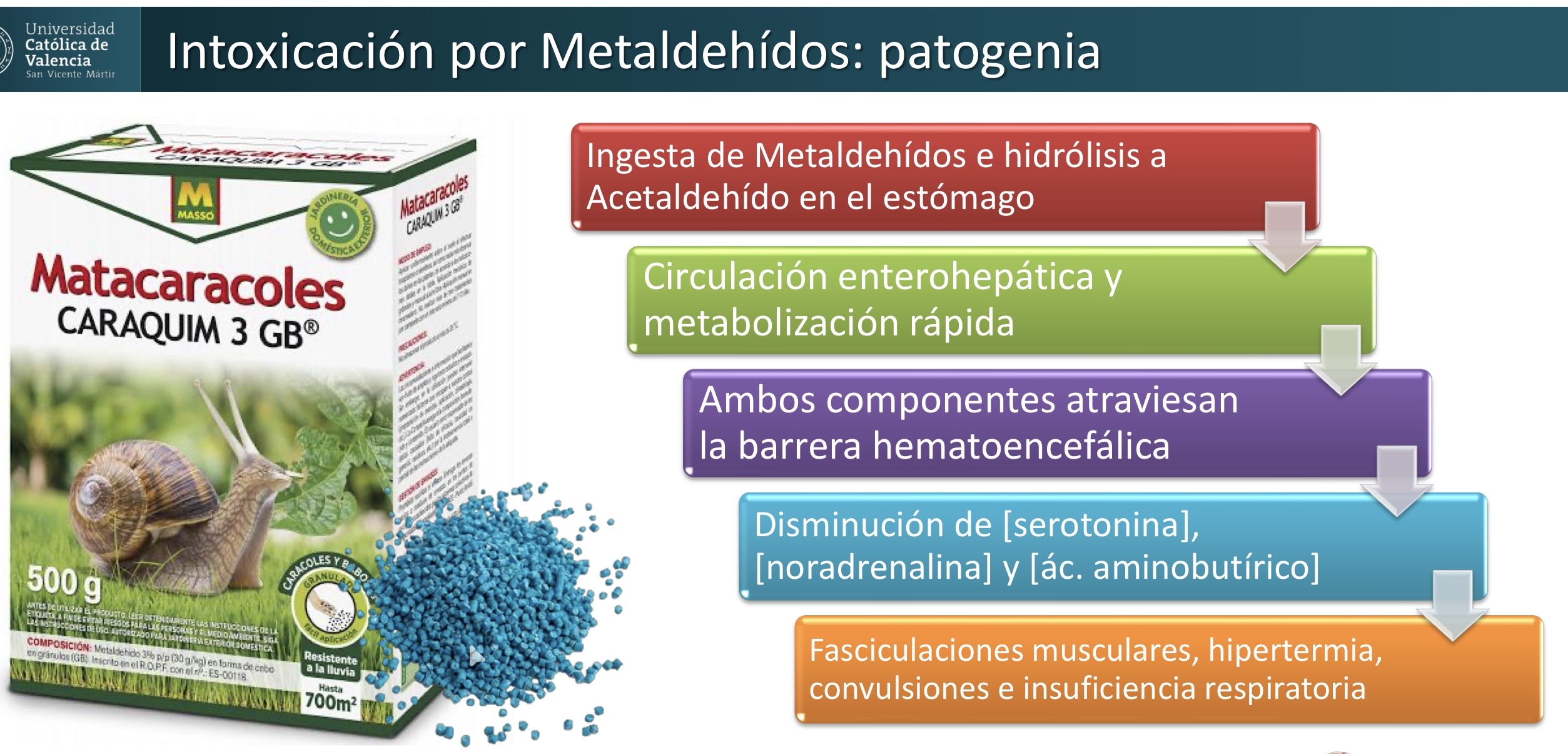 <p>NEURO: intoxicación por metaldheidos</p><p>Contenido gastrointestinal</p>
