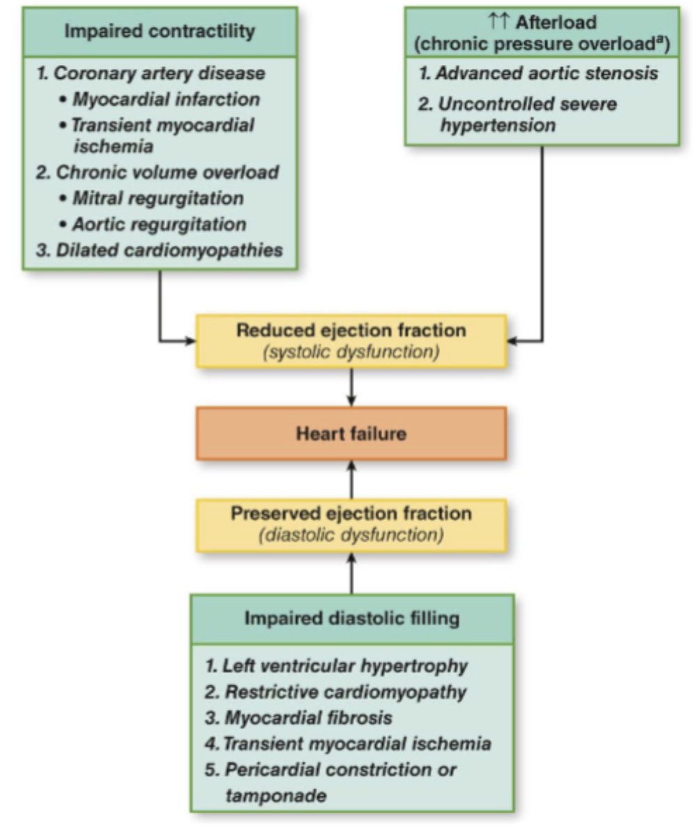 <p><span style="background-color: transparent;"><strong>Conditions that Cause Left-Sided HF</strong></span></p>