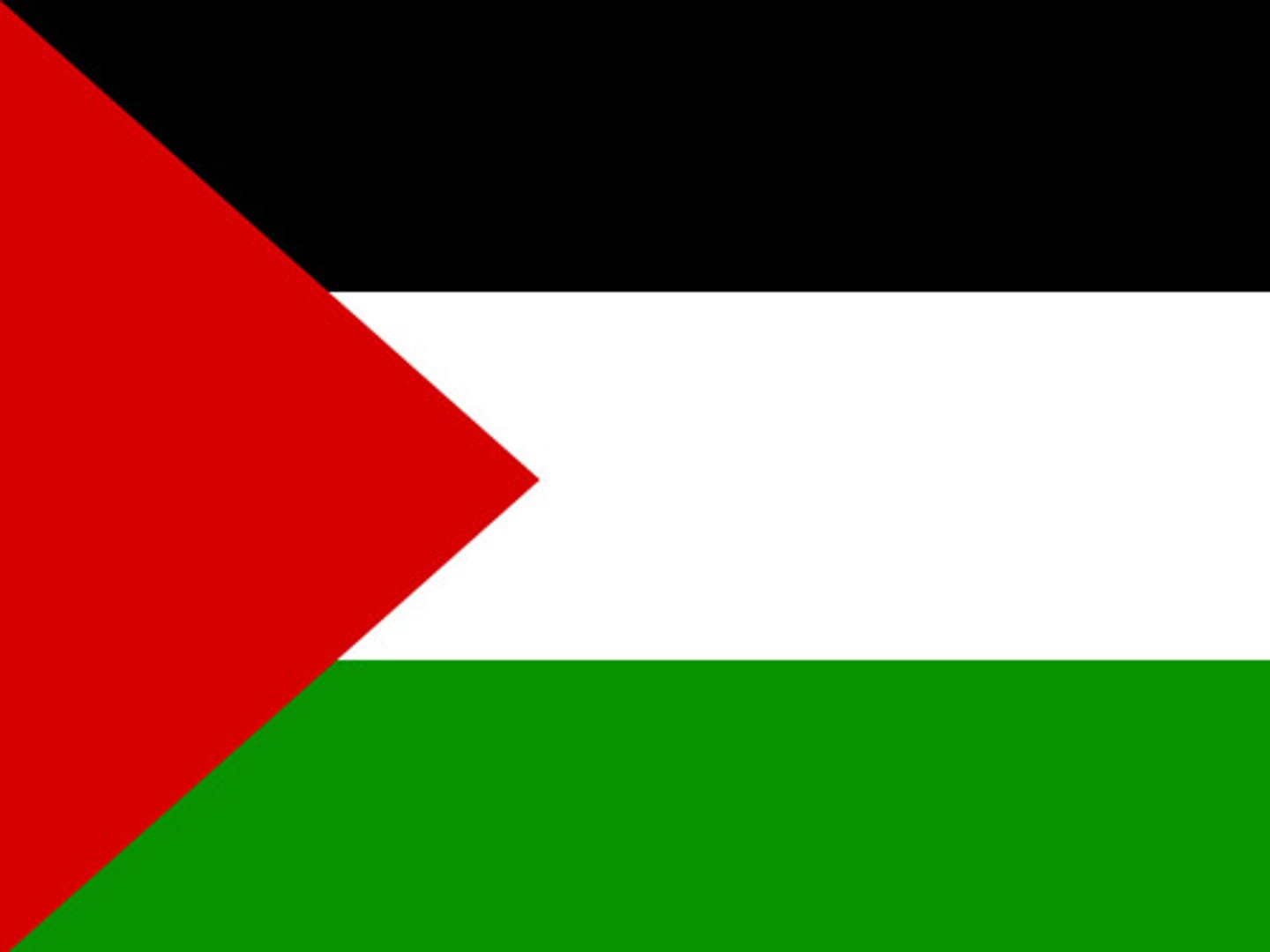<p>la Palestine, palestinien (2x)</p>