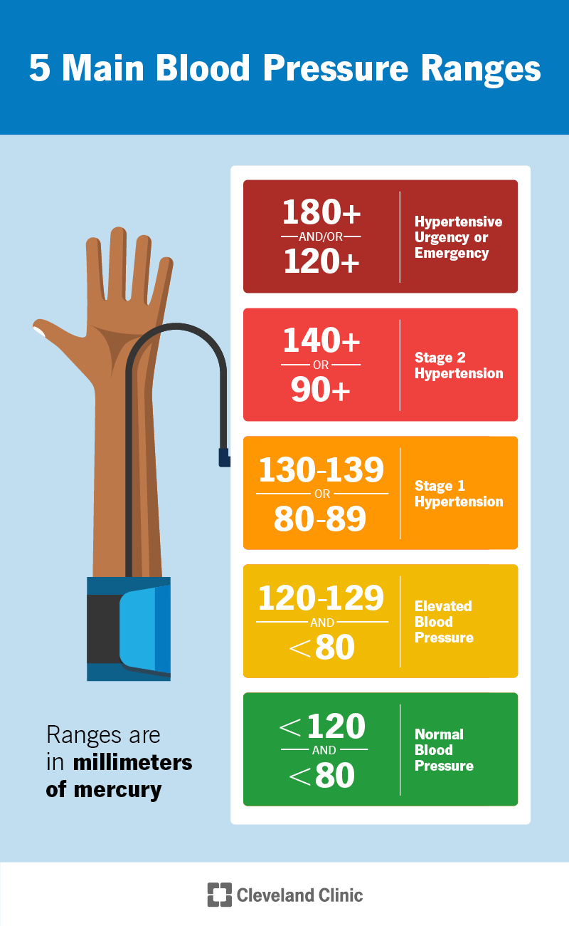<p>blood pressure</p>