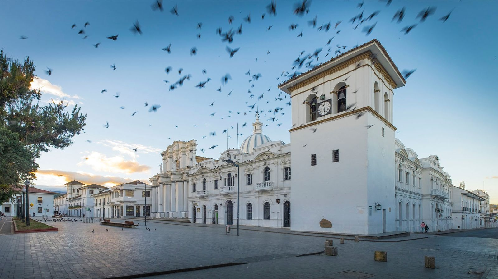 <p>Cauca, Popayán</p>