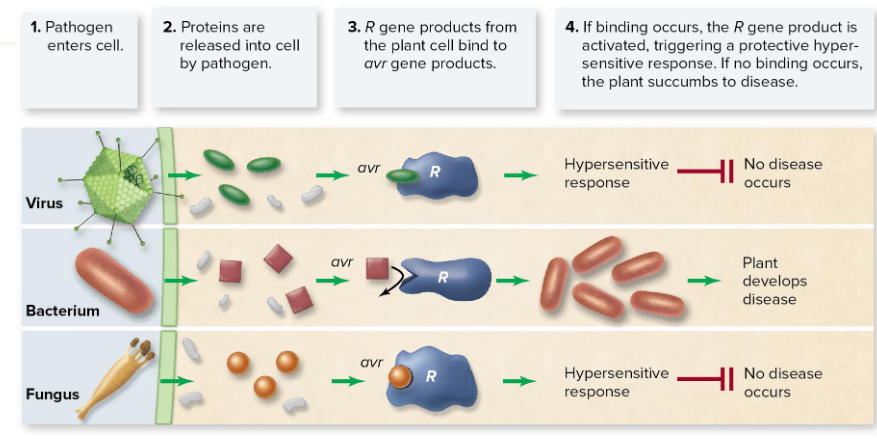 <p></p><p></p><p></p>