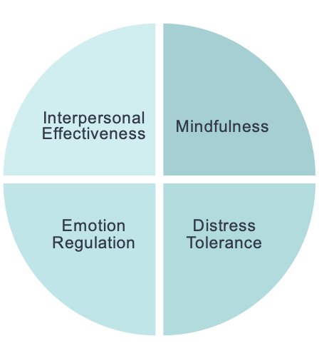 <ul><li><p>DBT reconceptualize Borderline PD as dysregulation of sense of self, relationships and emotions</p></li><li><p>main treatment goal is to address emotional dysregulation</p></li></ul><p></p>