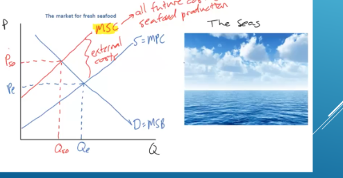 <p>for tragedy of the commons, the equilibrium price &amp; quantity Qe is lower in price and higher in quantity that ___ - too many fish being caught, rights to use these resources must be managed by the government</p>