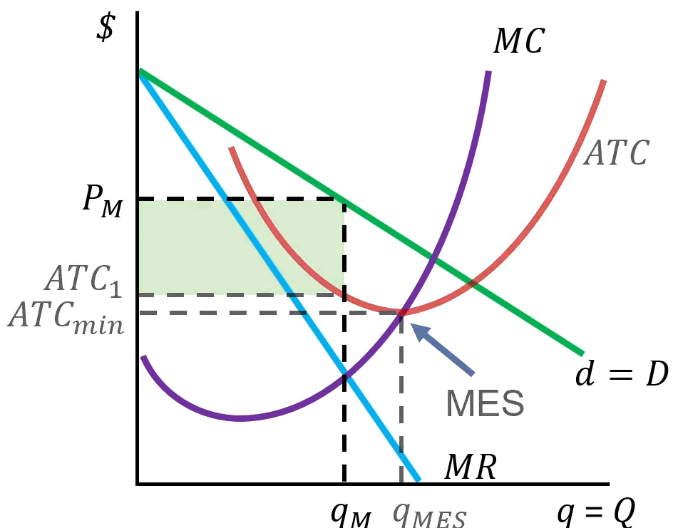 <ul><li><p>Monopolies typically earn an economic profit, which is also called a monopoly rent</p></li><li><p>The profit maximizing quantity is usually not the minimum efficient scale</p></li><li><p>Monopolies generally do not achieve productive efficiency</p></li></ul><p></p>