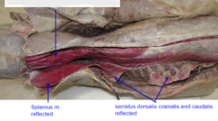 <p>What is the top arrow pointing to?</p>