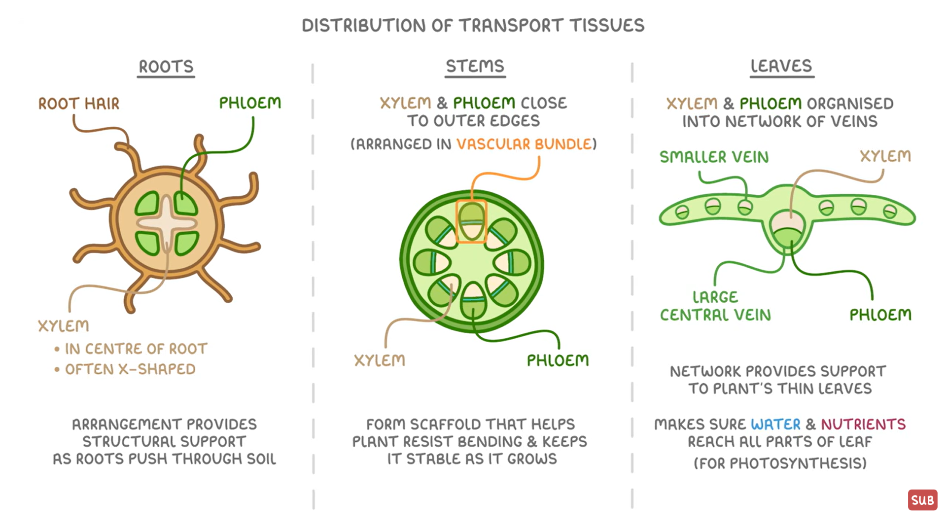 knowt flashcard image