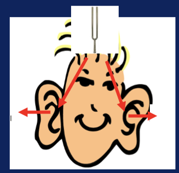 <ul><li><p>comparison of bone conduction in both ears</p></li><li><p>place vibrating tuning fork on middle of forehead and ask which ear is louder</p></li></ul><p></p>
