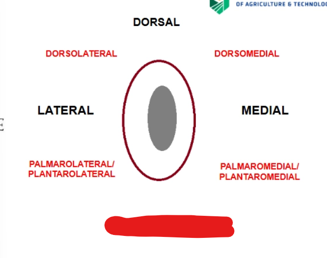 <p>what is it</p>