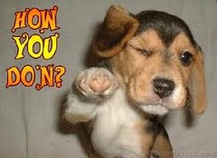<p>What´s up? How are you?; How is it going?</p>