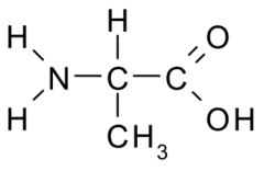 <p>(Ala, A) Neutral-nonpolar, hydrophobic</p>