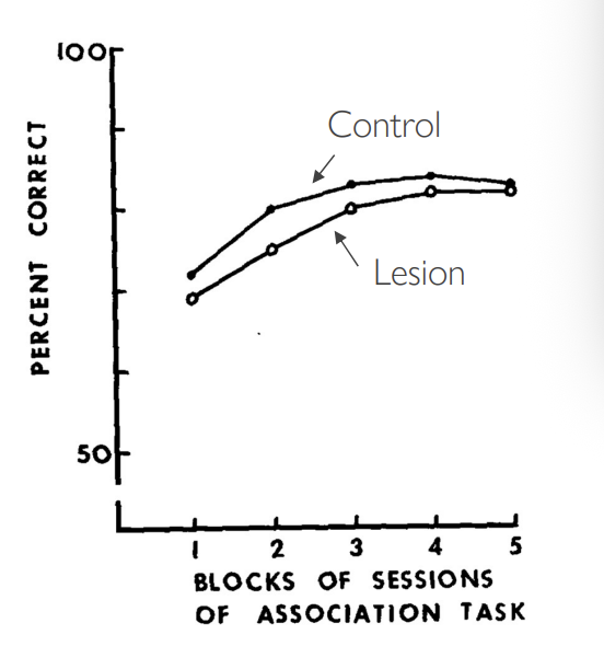 <ul><li><p>association was unimpaired</p></li><li><p>basically like controls</p></li></ul><p></p>