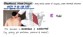 <p>E Add</p>