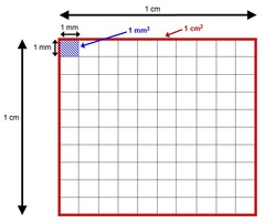 <p>5.6cm²× 100 mm² / 1 cm² = 560 mm²</p>