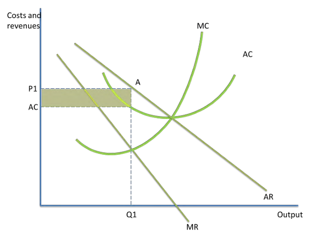 <ul><li><p>SNP</p></li><li><p>Both in the short run + the long run</p></li></ul><p></p>