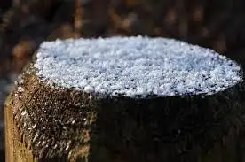 <p>Snow grains</p><p>Granulo de nieve</p>