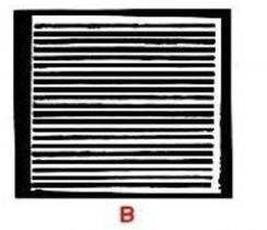 <p>What is this bar phantom?</p>