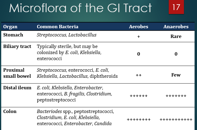 <p>e. coli; klebsiella; enterococci</p>