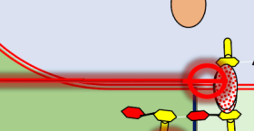 <p>Target protein involved in translocating NAM and NAG<br><br>Remember that NAM and NAG are synthesized in the cytoplasm and then brought out and form the bacterial cell wall.</p><p>This drug does not allow the transportation of these NAM and NAG chains from the cytoplasm and through the cell membrane, thus inhibiting the synthesis of the cell wall.</p><p>NAG is <em>N</em>-acetylglucosamine, while NAM is <em>N</em>-acetylmuramic acid</p><p>inhibits bacterial cell wall synthesis by interfering with the recycling of <strong>bactoprenol</strong>, the lipid carrier molecule. Bacterial cell wall building blocks (<strong>NAM and NAG</strong>) are synthesized inside the cytoplasm but must be transported across the inner membrane to the exterior to form the peptidoglycan layer. THis drug binds to the pyrophosphate on bactoprenol, preventing it from dephosphorylating and returning to the inner side of the membrane to pick up another precursor. By blocking this "shuttle" system, the cell runs out of materials to build its protective outer wall, leading to cell lysis.</p>