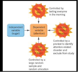 <p><span style="background-color: transparent;"><strong>• Independent variable (IV) -</strong> variable manipulated (quantities are manipulated - controlled, selected or changed- by the researcher)</span></p><p><span style="background-color: transparent;"><strong>• Dependent variable (DV) - </strong>variable measured (measured in the experiment for changes caused by the IV)</span></p><p><span style="background-color: transparent;">•<strong> Controlled variables -</strong> variables held constant to ensure that the only influence on the dependent variable is the independent variable. </span></p>