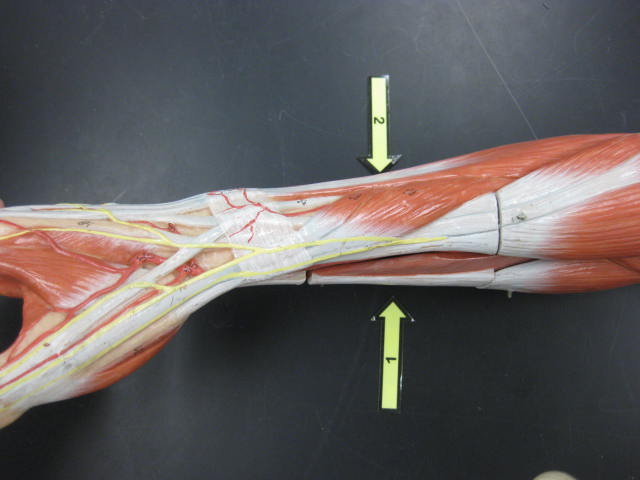 <p>What is at #2?</p>