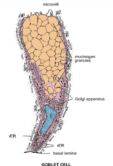 <p>increase</p>