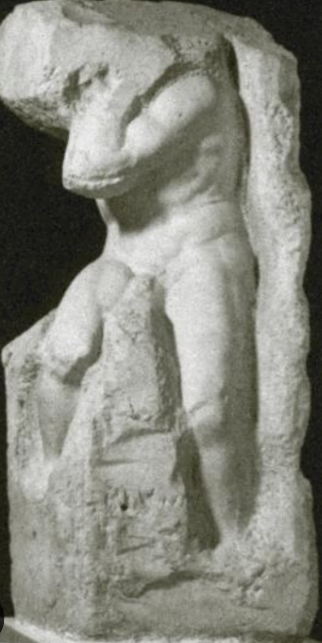 term image