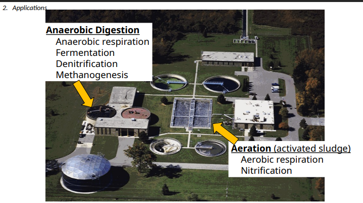 <ol><li><p>Aerobic resp</p></li><li><p>Nitrification</p></li></ol><p></p>
