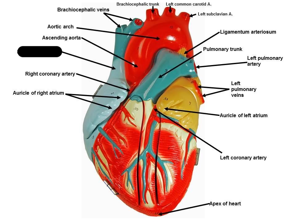 <p></p>