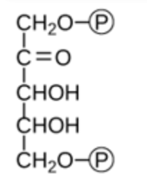 <p>Name the substrate for the 1st step in photosynthesis.&nbsp;</p>