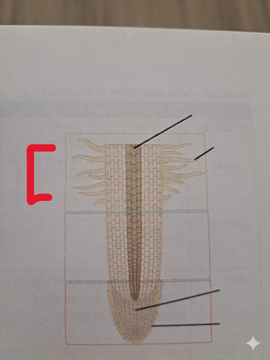 <p>What is this?</p>