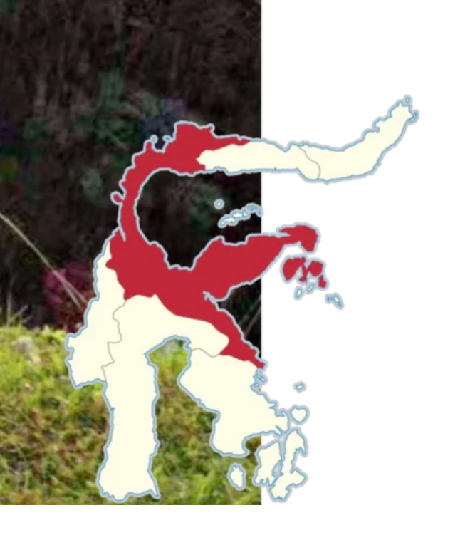 <p>Central Sulawesi</p>