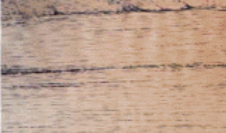 <p>regular tissue</p>