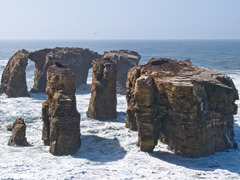 <p>physical, or nonliving, factor that shapes an ecosystem</p>