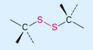 <p>Structure name and suffix</p>