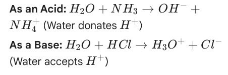 <ul><li><p><span style="background-color: transparent;"><strong>Molecules that can act as both a base and as an acid</strong></span></p></li><li><p><span style="background-color: transparent;"><strong>Common Example: Water (H<sub>2</sub>O)</strong></span></p></li><li><p><span style="background-color: transparent;"><strong>Most include polyprotic acids where there is a proton and a negative charge - HPO4 (2-) → acid= PO4 (3-) + base= H2PO4(-) and H2PO4(-) → acid= HPO4(2-) + base= H3PO4</strong></span></p></li></ul><p></p>