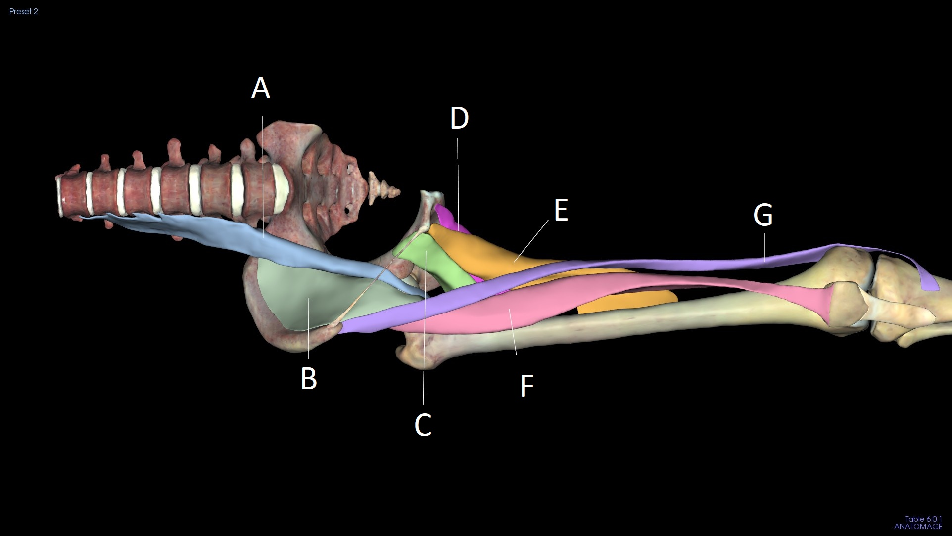 <p>E</p>
