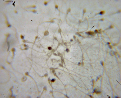 <p>what is this?</p>
