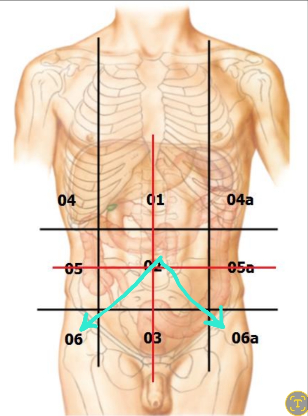 <p>Qual é o nome?</p>