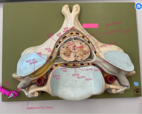 <p>What is being shown? </p>