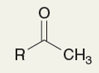 <p>This procedure results in a Markovnikov addition of water across</p><p>the pi bond, followed by tautomerization to form a methyl ketone.</p>