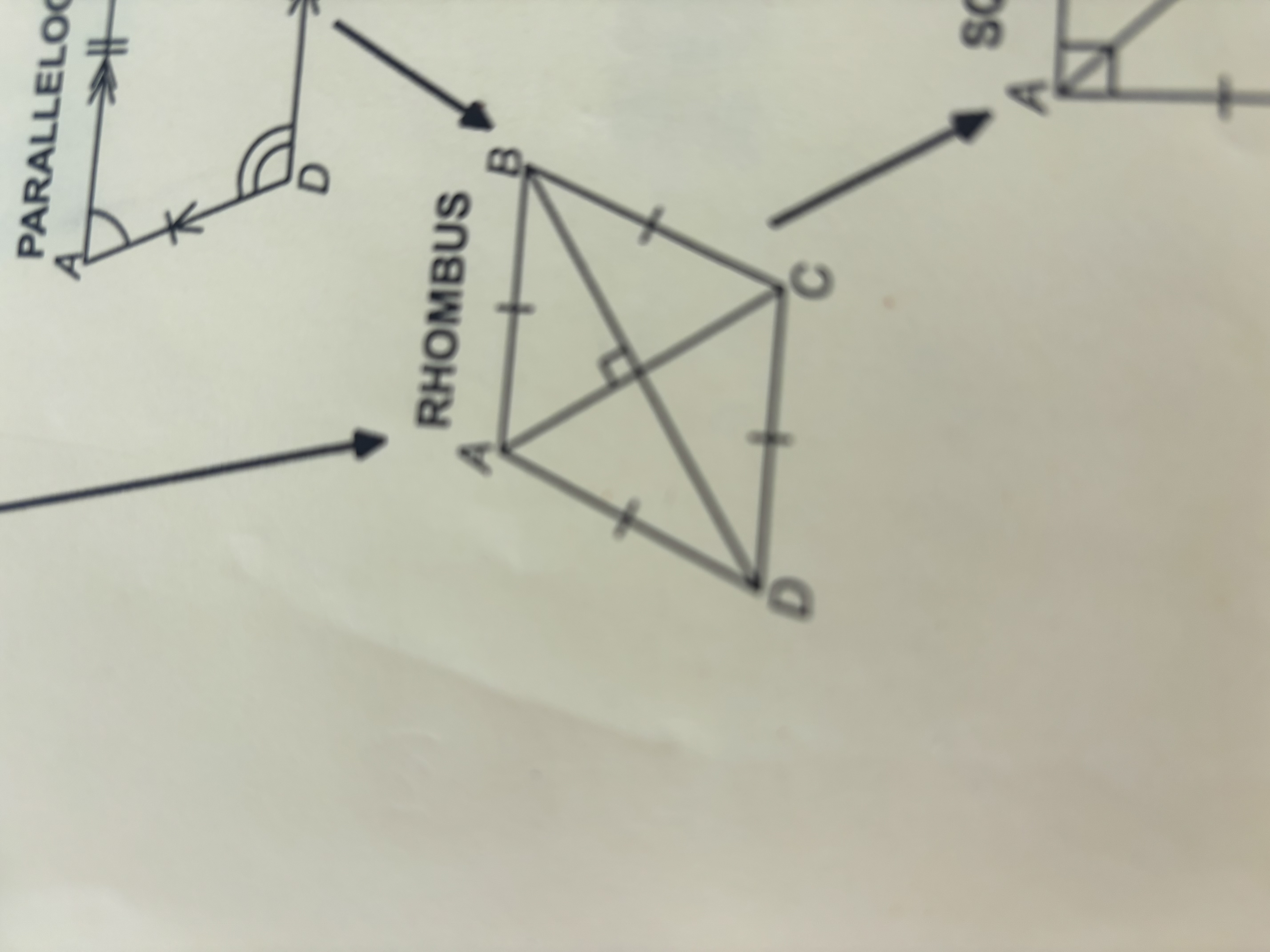 <p>Rhombus</p>