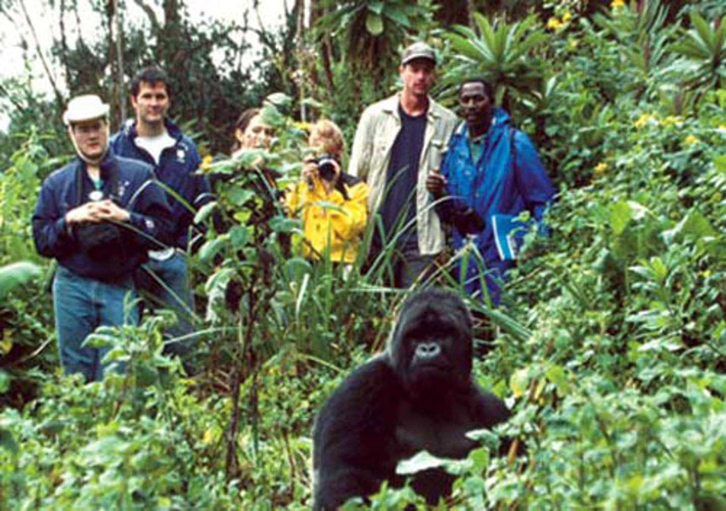<p>Responsible travel to natural areas that protects the environment and benefits locals.</p>