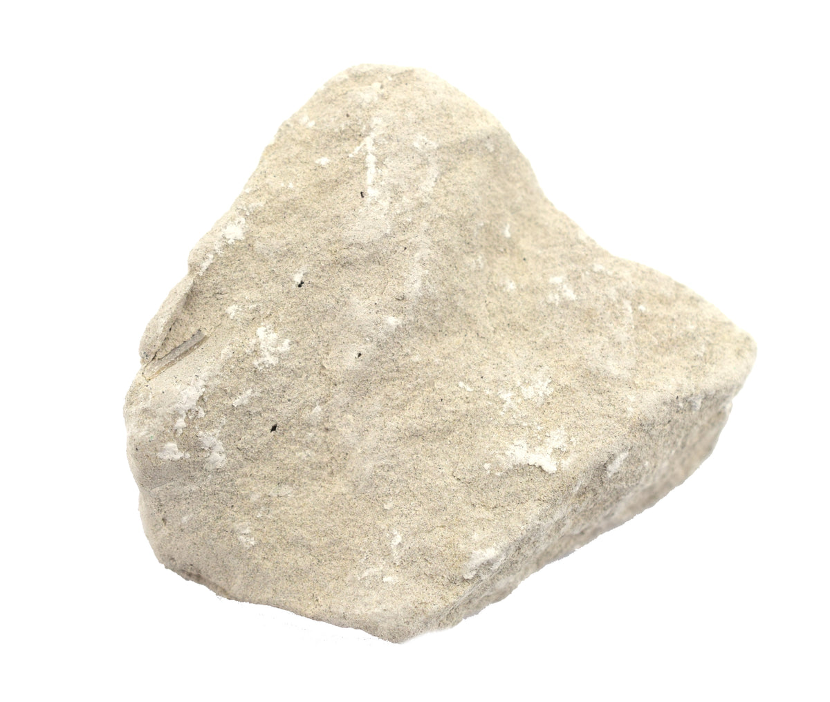 <p>Calcium </p>